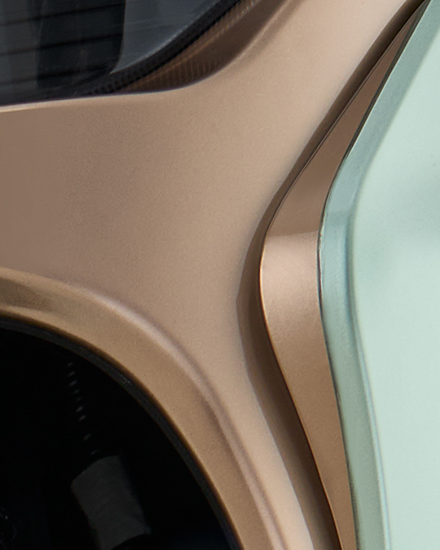 Elegant Paint Detailing